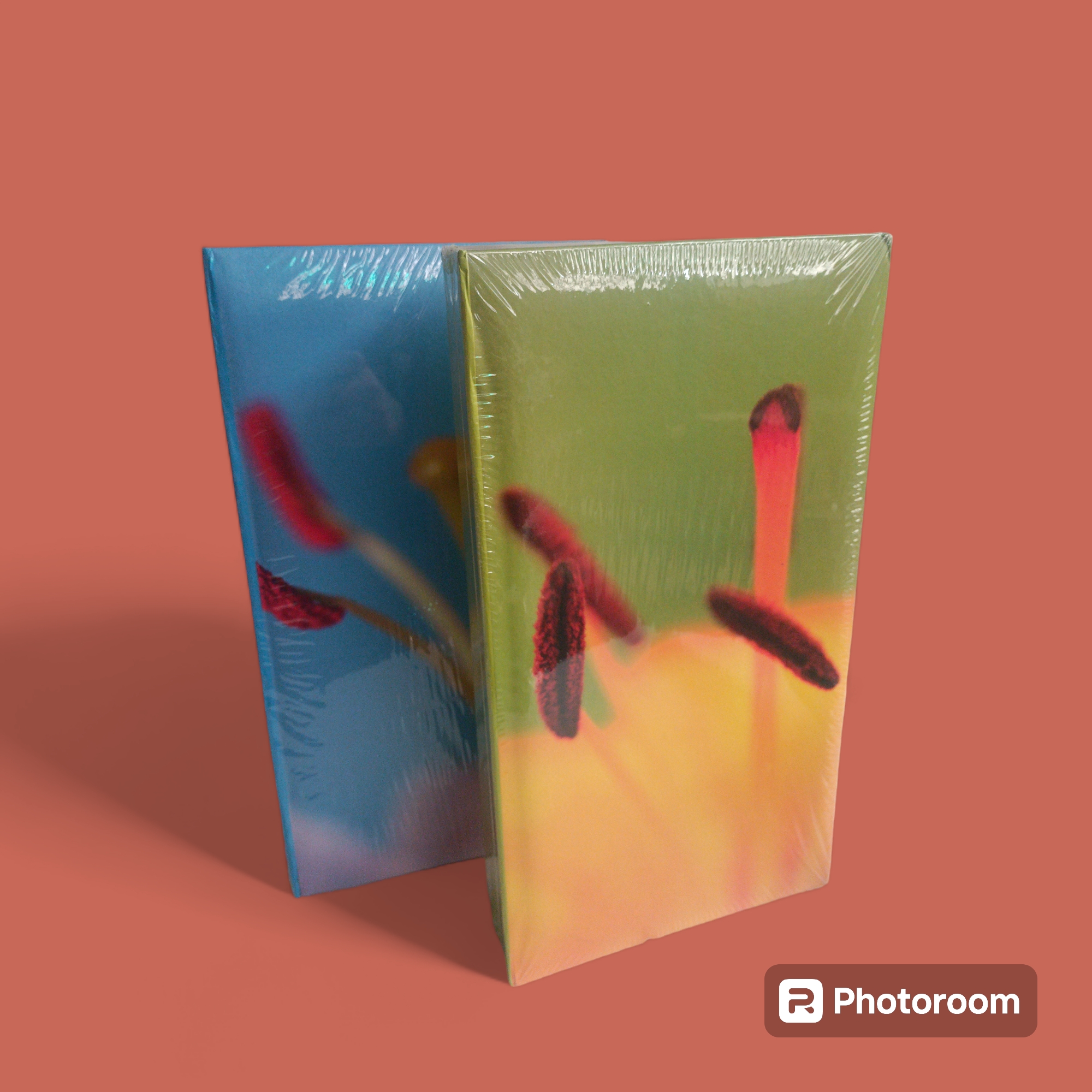 raccoglitore mascagni album 100 foto 13x18 colori blu o verde