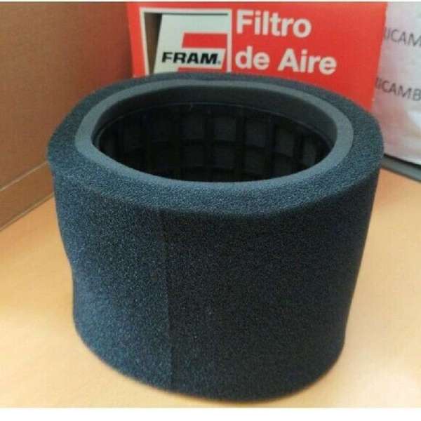 FILTRO ARIA PEUGEOT – CITROEN – FRAM CA4760