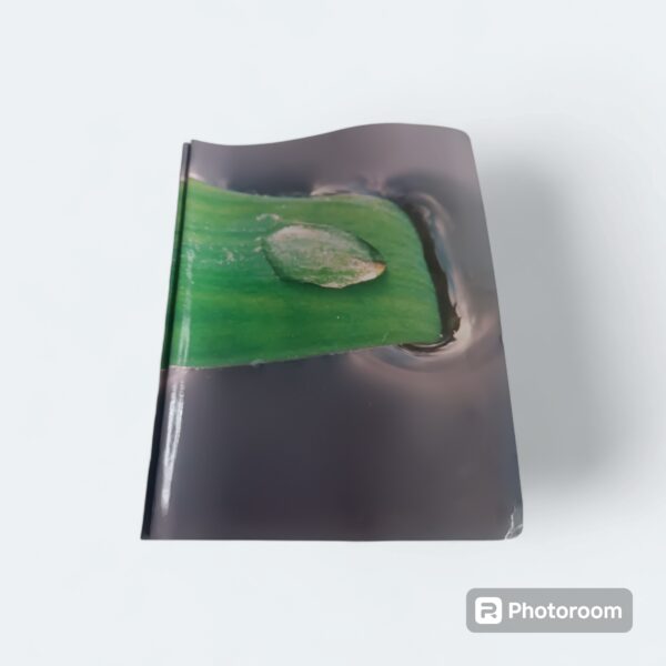 portafoto 18x13