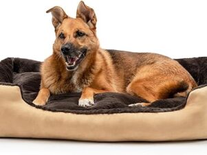 lionto Letto per cani con cuscino reversibile taglia XL marrone/beige90x70 cm