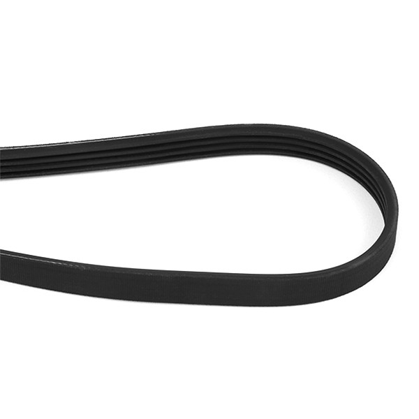 Cinghia servizi magneti 4k0850 marelli Bmw serie 3-5-7